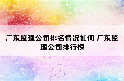 广东监理公司排名情况如何 广东监理公司排行榜